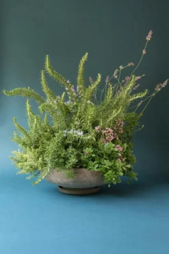 Bergs Potter Krukor-Ada Kruka Med Fat Grå, Ø36 cm