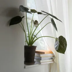 Alice Gardin Dubbel Bredd 290x290 cm, Natur