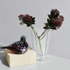 Iittala Vaser-Alvar Aalto Vas 22 cm,