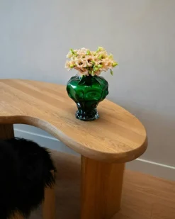 Hein Studio Vaser-Ammonit Vas 30 cm, Grön