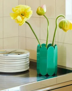 HAY Vaser-Arcs Vas Liten, Grön