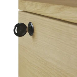 Ethnicraft Hurtsar-Billy Låda Med Lås, Svartbetsad Ek