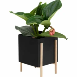 Design House Stockholm Krukor-Botanic Kruka