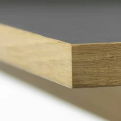 FDB Møbler Skrivbord-C68 Nørrebro Skrivbord Ek, Mushroom