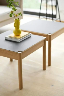 FDB Møbler Soffbord-C44 Soffbord Ek / Linoleum, 60x120 cm