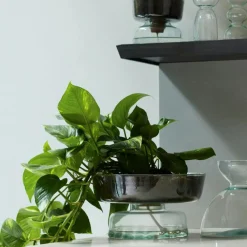 LSA International Krukor-Canopy Självvattnande Kruka, 13 cm