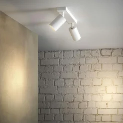 Edgeform Spotlights-Canspot 55 Double Spotlight, Svart