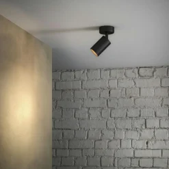 Canspot 55 Single Spotlight, Svart