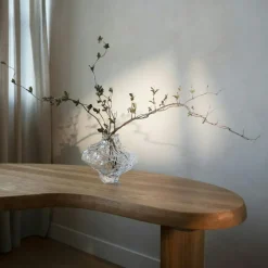 Canyon Vas 23 cm, Klar