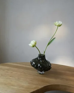 Canyon Vas 23 cm, Klar