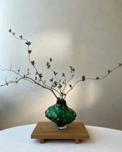 Canyon Vas 23 cm, Klar