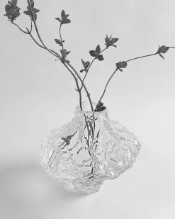 Canyon Vas 23 cm, Klar