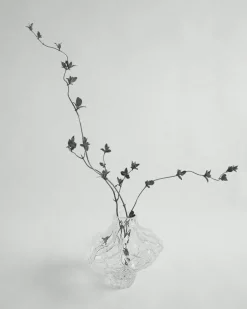 Canyon Vas 23 cm, Klar