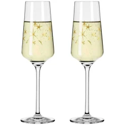 Celebration Deluxe Champagneglas Stars 2-pack, 23 cl