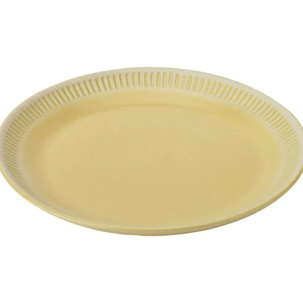 Colorit Tallrik 19 cm, Ros