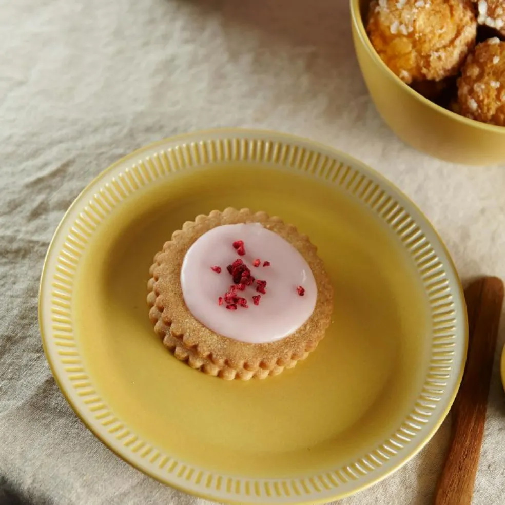 Colorit Tallrik 19 cm, Ros