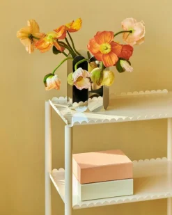 Colour Förvaringslåda S, Vibrant Green