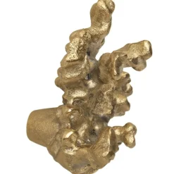 Comber Coral Branch Krok