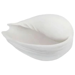 CONCH shell Dekoration Off-white, Stor