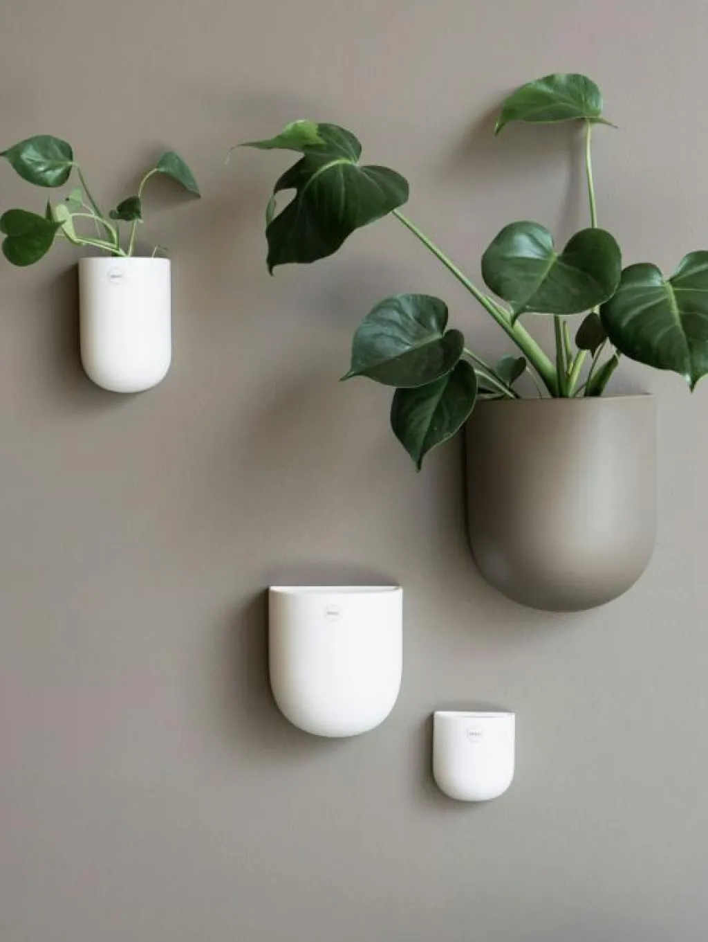 DBKD Krukor-Cut Väggkruka Large,