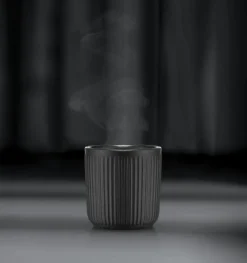 Bodum Tekoppar|Kaffekoppar-Douro Mugg 2-pack Dubbelväggad,