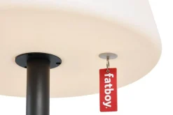 Edison The Giant Golvlampa, Antracit