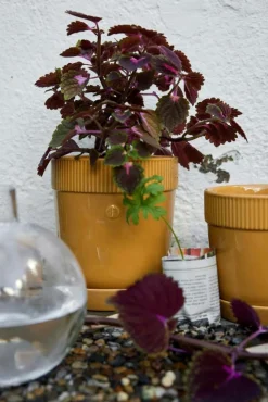 Sagaform Krukor-Elise Kruka 19 cm, Grön