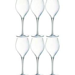 Exaltation Champagneglas 30 cl Transparent, 6-pack