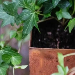 Falsterbo 40 Golvlampa, Rå Corten