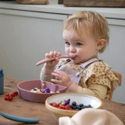 Barn Sebra Barntallrikar-Fanto Skål, Blå