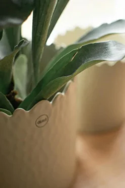 Flowery Kruka Ø16 cm, Creme