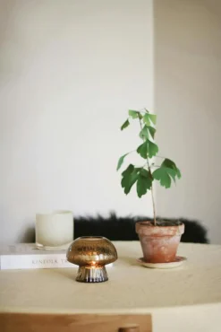 Globen Lighting Ljuslyktor-Fungo 12 Värmeljuslykta, Brun