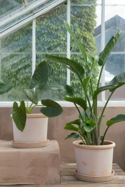 Bergs Potter Krukor-Galestro Kruka Med Fat Ø40 cm