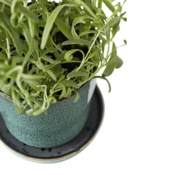 Gastro Kruka Med Fat Ø10 cm, Svart/Mörkblå