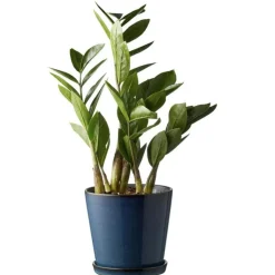 Bitz Krukor-Gastro Kruka Med Fat Ø14 cm, Svart/Mörkblå