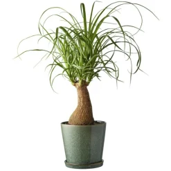 Bitz Krukor-Gastro Kruka Med Fat Ø14 cm, Svart/Mörkblå