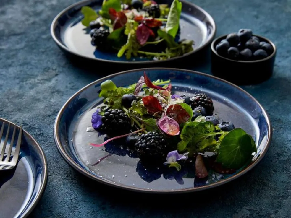 Gastro Tallrik Ø27 cm, Ljusblå