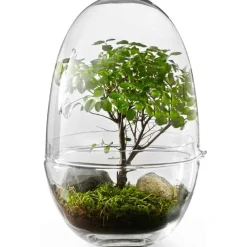 Design House Stockholm Krukor-Grow Miniväxthus XL,