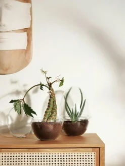 Design House Stockholm Krukor-Grow Miniväxthus XL,