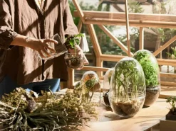 Design House Stockholm Krukor-Grow Miniväxthus XL,