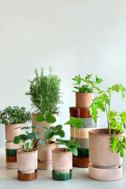 Bergs Potter Krukor-Hoff Blomkruka Med Fat Rosa/Grön Ø 14 cm