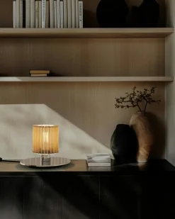 DCWéditions Bordslampor-In the Sun 220 Bordslampa, Silver / Silvrigt Mesh