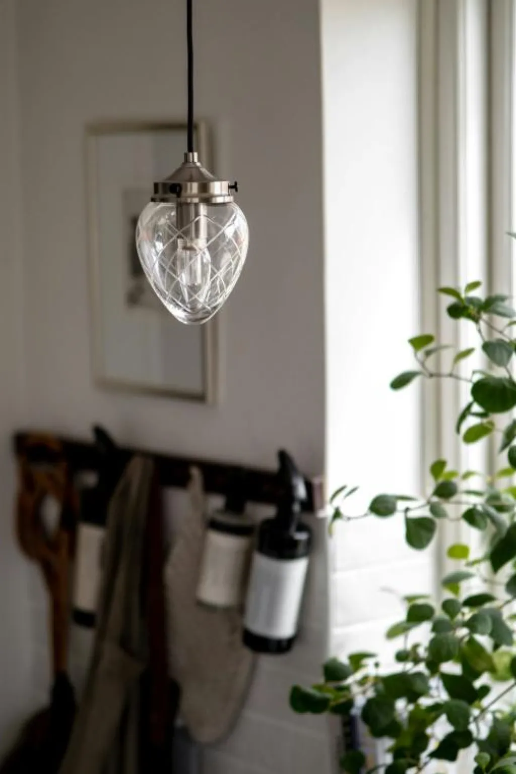 Globen Lighting Fönsterlampor|Pendellampor-Juni 11 Pendel, Stål / Klar