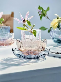 Lily Vattenglas 32 cl 2-pack, Rosa