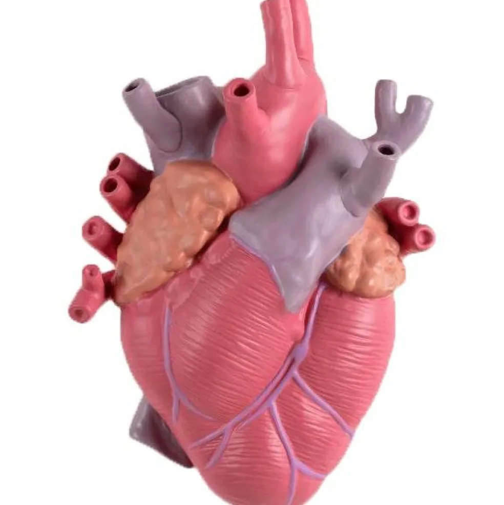 Love In Bloom Vas, Color