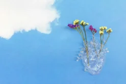 Love In Bloom Vas, Color