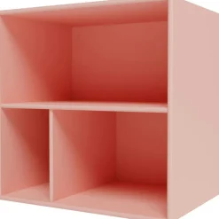 Montana Vägghyllor-Mini 1102 Hylla Med Fack, New White