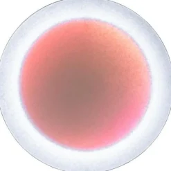 Ingo Maurer Vägglampor-MoodMoon Vägg-/Taklampa 85 cm, Röd