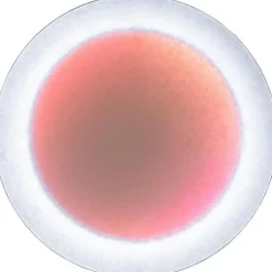 Ingo Maurer Vägglampor-MoodMoon Vägg-/Taklampa 85 cm, Röd