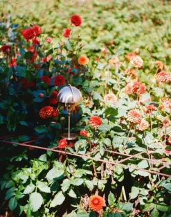 Multi-Lite Bordslampa Portabel, Krom